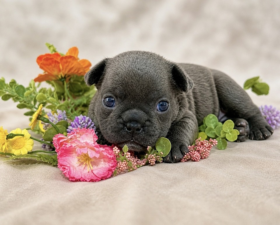3 weeks old!
